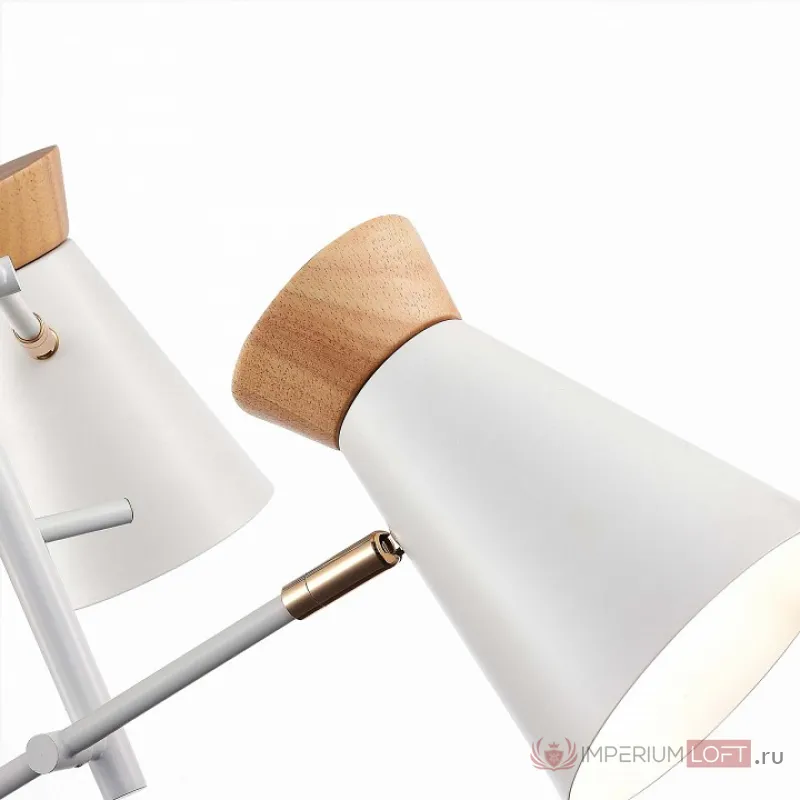 Потолочная люстра EVOLUCE Alfeo SLE1252-502-03 от ImperiumLoft