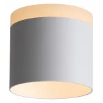 Накладной светильник ST-Luce Panaggio ST102.502.12 Цвет арматуры белый