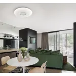 Накладной светильник Citilux Light & Music CL703M61 от ImperiumLoft