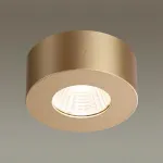Накладной светильник Odeon Light Bene 4284/7CL Цвет арматуры золото Цвет плафонов золото