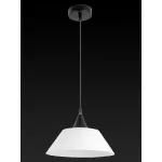 Подвесной светильник TopLight Mabel TL4430D-01BL Цвет арматуры черный Цвет плафонов белый от ImperiumLoft