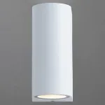 Накладной светильник Arte Lamp 3102 A3102AL-2WH