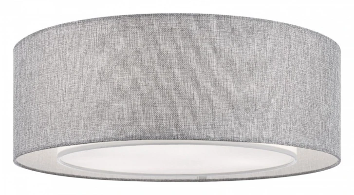 Потолочный светильник Maytoni MOD613CL-04GR