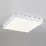 Накладной светильник Elektrostandard DLR034 DLS034 24W 4200K