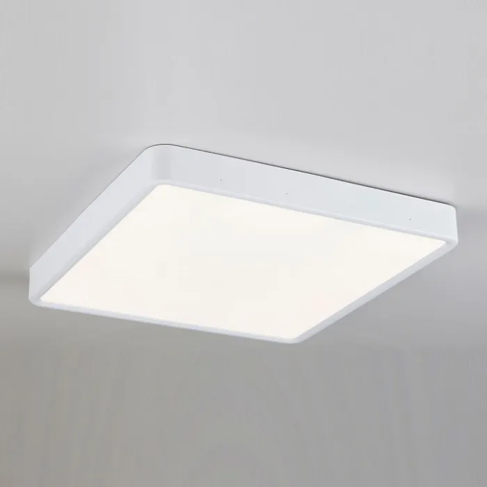 Накладной светильник Elektrostandard DLR034 DLS034 24W 4200K от ImperiumLoft