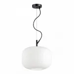 Подвесной светильник Odeon Light Roofi 4754/1 Цвет плафонов белый Цвет арматуры черный от ImperiumLoft