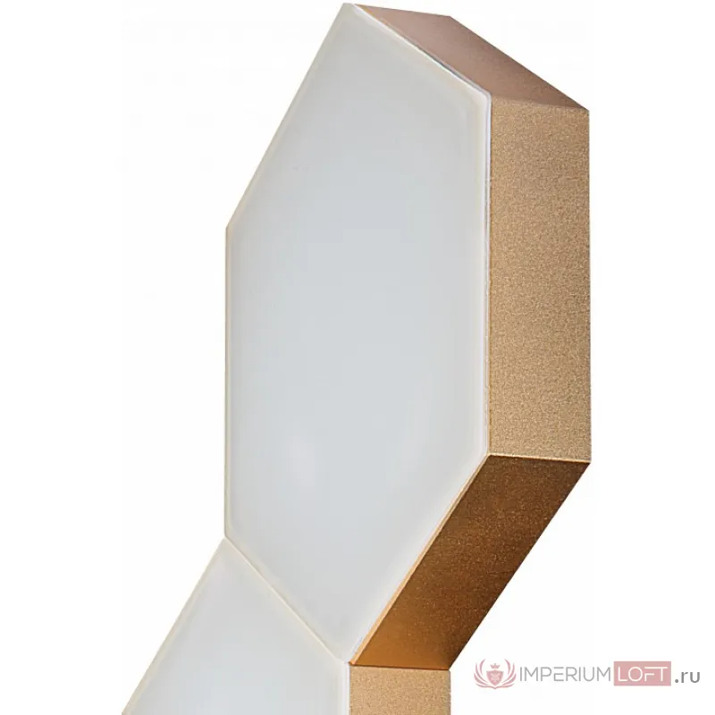 Накладной светильник Lightstar Favo LED 750643 Цвет арматуры золото от ImperiumLoft