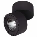 Светильник на штанге Lightstar Forte 381373 от ImperiumLoft