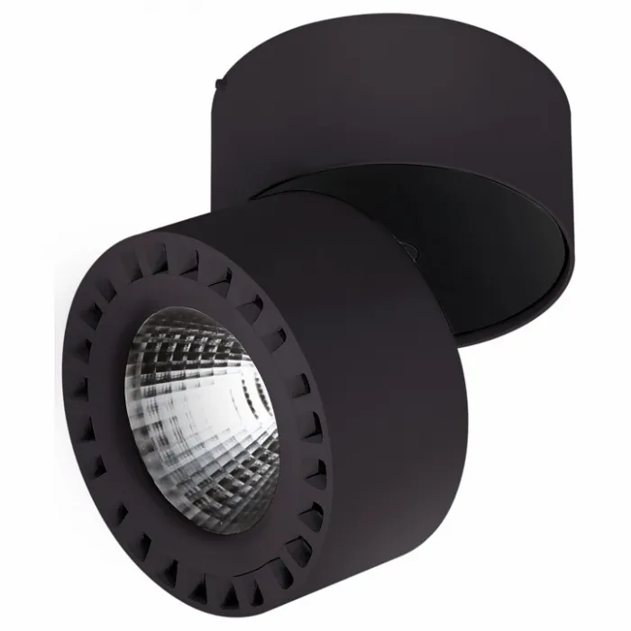 Светильник на штанге Lightstar Forte 381373 от ImperiumLoft