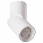 Накладной светильник Arte Lamp Orione A7717PL-1WH Цвет плафонов белый Цвет арматуры белый