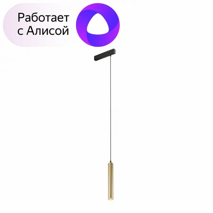 Подвесной светильник Denkirs Smart DK8008-BG от ImperiumLoft