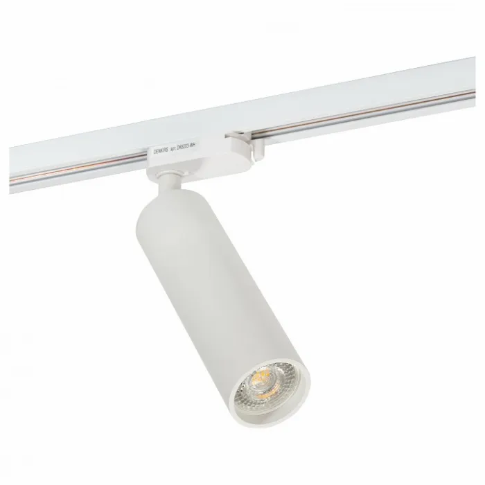 Светильник на штанге Denkirs DK620 DK6203-WH от ImperiumLoft