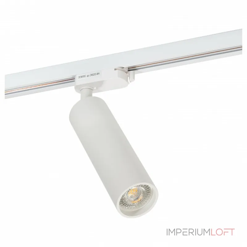 Светильник на штанге Denkirs DK620 DK6203-WH