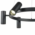 Подвесная люстра Vele Luce Neo 742 VL10012P06 