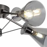 Потолочная люстра Rivoli Udito S5 DN Б0038058 