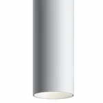 Подвесной светильник Maytoni Track lamps TR016-2-12W4K-W