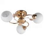 Потолочная люстра TopLight Maria TL3510X-03FG 