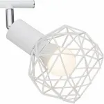 Спот Arte Lamp 6141 A6141PL-4WH Цвет арматуры хром Цвет плафонов белый