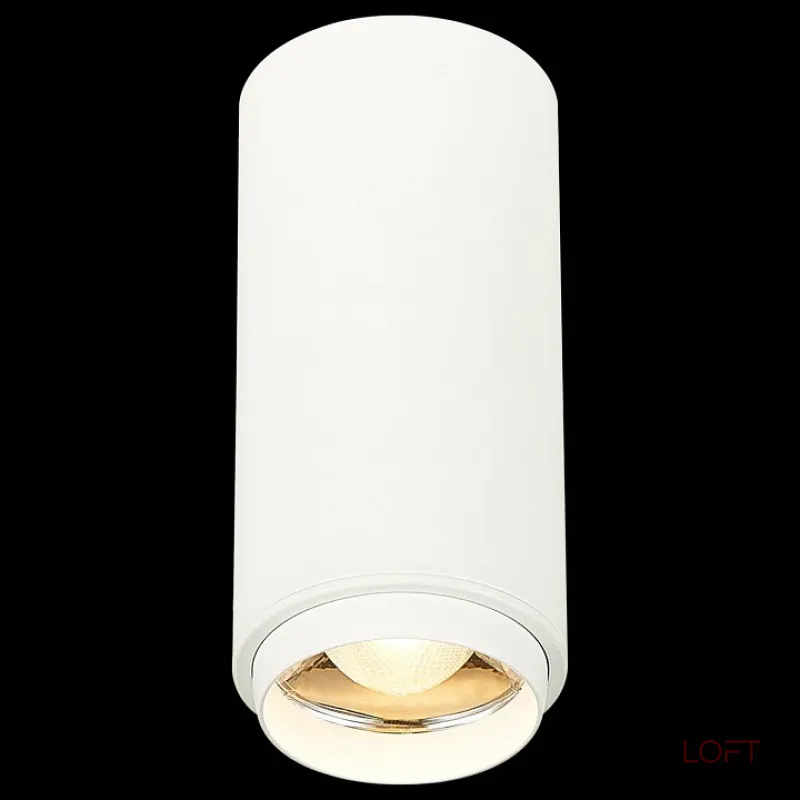 Накладной светильник ST-Luce Zoom ST600.532.10 Цвет плафонов белый