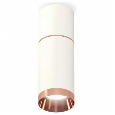 Накладной светильник Ambrella Techno Spot 248 XS6322063 Цвет плафонов бронза