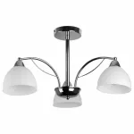 Потолочная люстра TopLight Celia TL3610X-03CH 