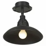 Спот Lussole Ancona LSN-1077-01 Цвет арматуры медь Цвет плафонов коричневый от ImperiumLoft