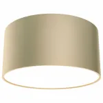 Накладной светильник Maytoni Zon C032CL-L12MG4K
