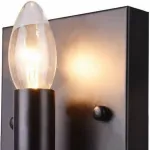 Бра Arte Lamp Bastaglia A8811AP-1BK Цвет арматуры черный Цвет плафонов зеленый
