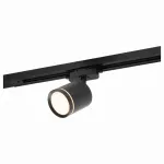 Светильник на штанге Denkirs DK640 DK6401-BK цвет арматуры черный цвет плафонов черный