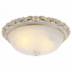 Потолочный светильник Arte Lamp Torta A7152PL-2WG 
