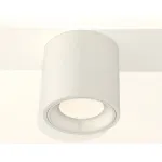 Накладной светильник Ambrella Techno 319 XS7531010