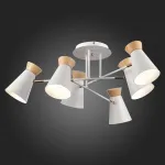 Потолочная люстра EVOLUCE Alfeo SLE1252-502-06 от ImperiumLoft