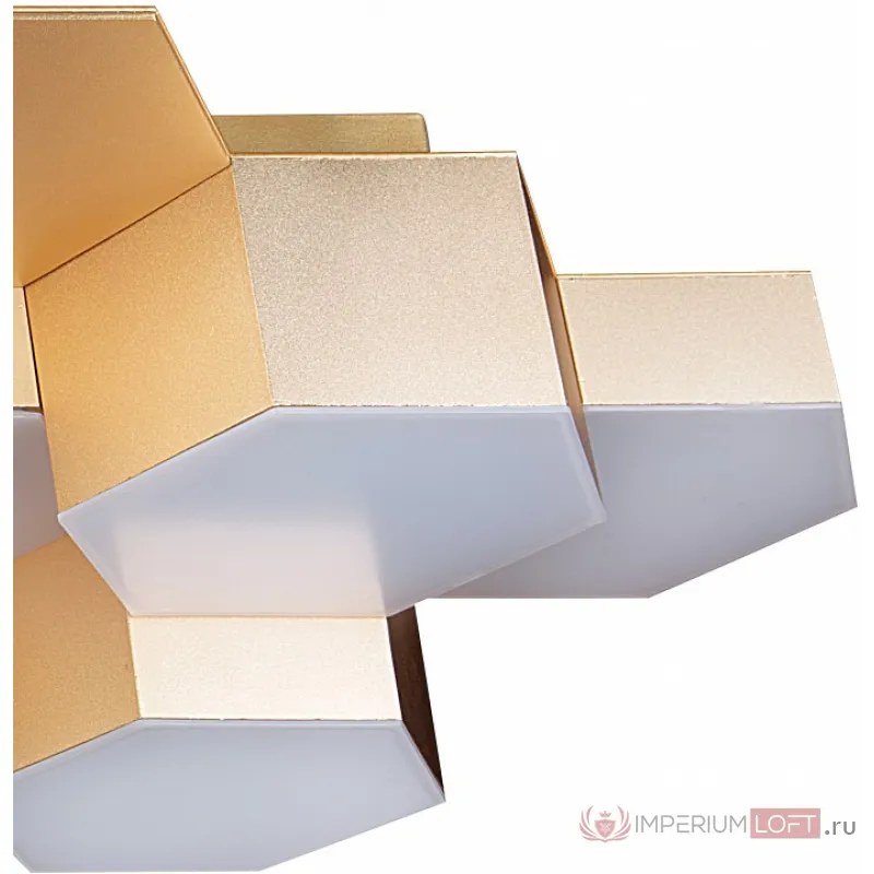 Накладной светильник Lightstar Favo LED 750123 Цвет арматуры золото от ImperiumLoft