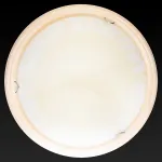 Потолочный светильник TopLight Ginger TL9620Y-00PN 