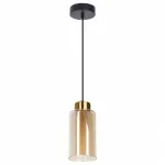 Подвесной светильник Arte Lamp Leo A7027SP-1BK
