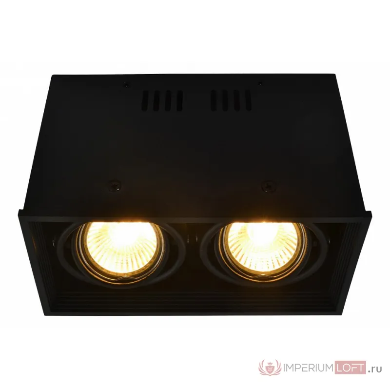 Накладной светильник Arte Lamp Cardani A5942PL-2BK от ImperiumLoft