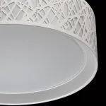 Потолочный светильник MW-Light Ривз 674012501