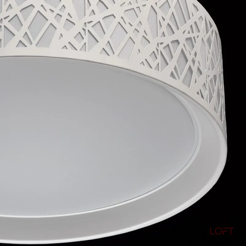 Потолочный светильник MW-Light Ривз 674012501