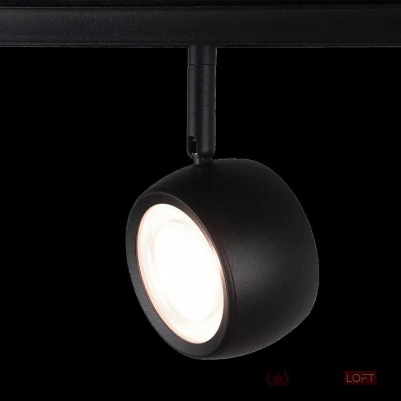 Светильник на штанге Loft it Tech 4 T034-10 Цвет плафонов черный от ImperiumLoft
