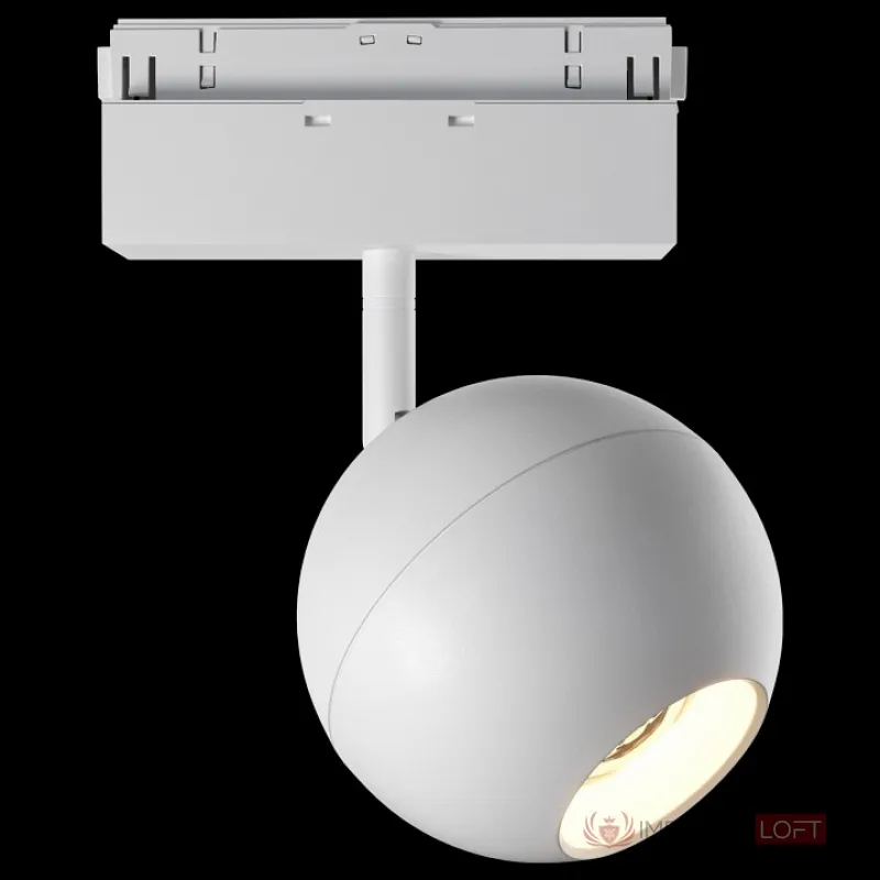 Светильник на штанге Maytoni Ball TR028-2-15W3K-W от ImperiumLoft