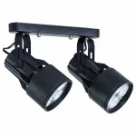 Потолочный светильник Arte Lamp 6252 A6252PL-2BK 
