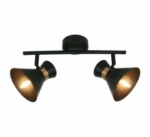 Спот Arte Lamp Baltimore A1406AP-2BK Цвет арматуры золото Цвет плафонов черный