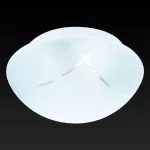 Накладной светильник TopLight Sandra TL9411Y-01WH Цвет арматуры белый Цвет плафонов белый