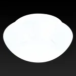 Накладной светильник TopLight Sandra TL9411Y-01WH Цвет арматуры белый Цвет плафонов белый