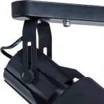 Потолочный светильник Arte Lamp 6252 A6252PL-2BK 
