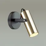 Бра Lumion Claire 3714/1W Цвет плафонов золото Цвет арматуры черный от ImperiumLoft