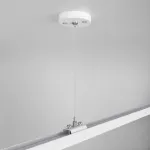 Подвес Elektrostandard TRF-1 a046951 Цвет арматуры белый Цвет плафонов белый