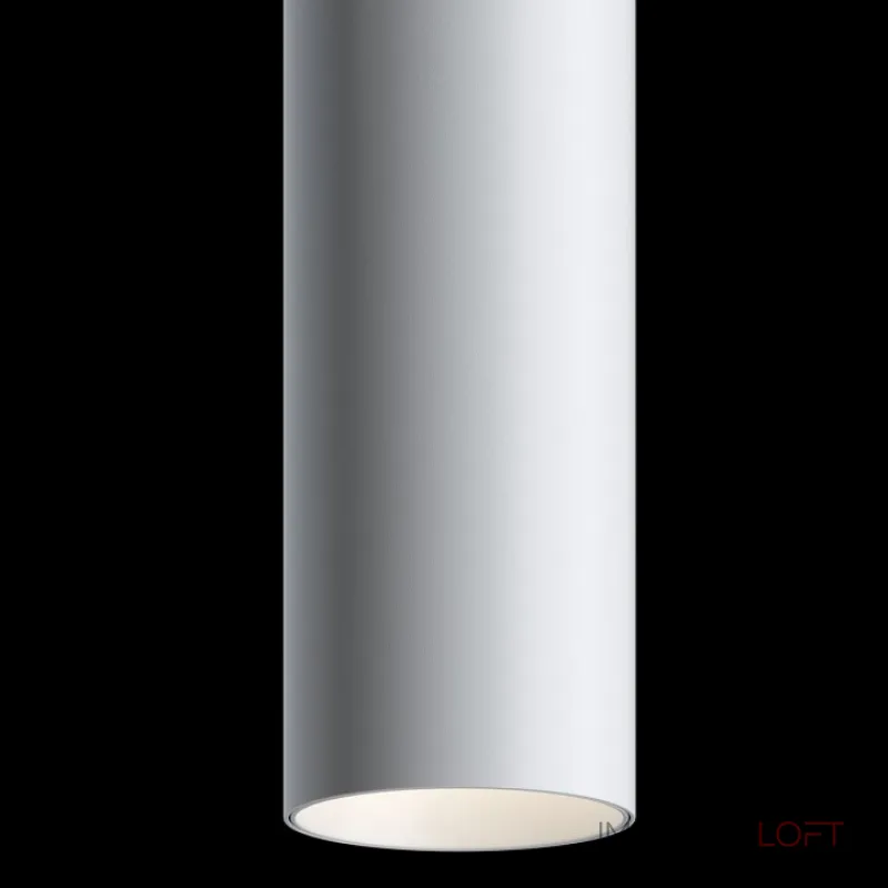 Подвесной светильник Maytoni Track lamps TR016-2-12W4K-W
