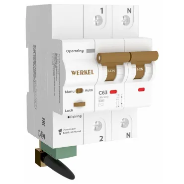 Автоматический выключатель 2P с Wi-Fi Werkel W1002P6301