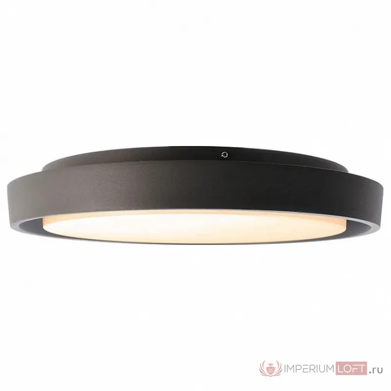 Накладной светильник Deko-Light Ascella 348069 Цвет арматуры серый Цвет плафонов белый от ImperiumLoft